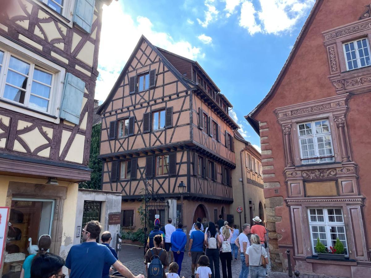 Rive Petite Venise Appartement Luxe - Centre Ville Colmar - Clim, Ascenseur & Possibilite Parking エクステリア 写真